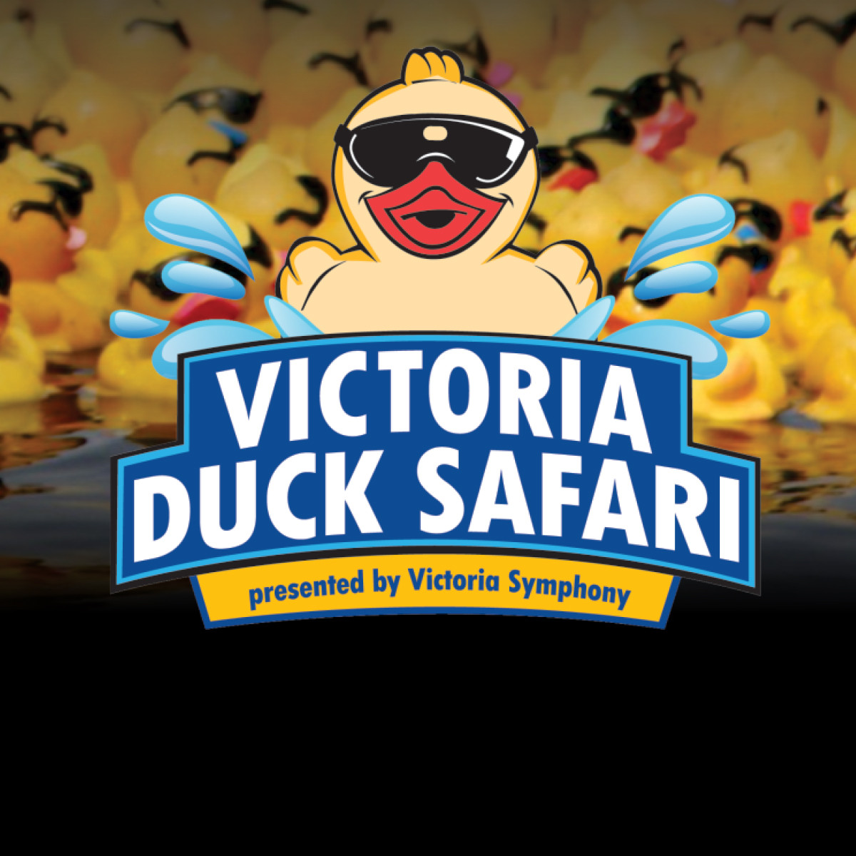 Promotional image for Victoria Duck Safari with a rubber duck in a safari hat among many rubber ducks.